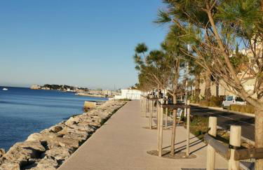 OFDL B T1 BANDOL - Briotine Foyalais - Foto 28