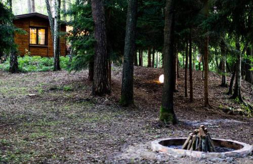 Sosnowy Strumyk - Foto 42