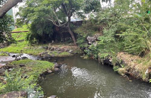 Urban oasis in heart of the city-large yard - Foto 27