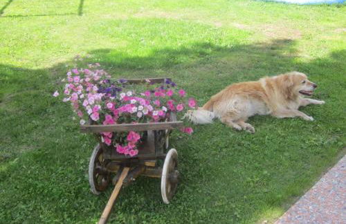 Villa L'Aida - Foto 43