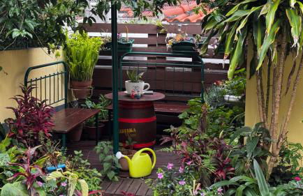 Terra Chã Cottage,FEEL Home, - Foto 24