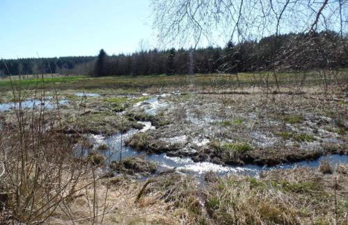 Eifel Garden Hideaway - Foto 67