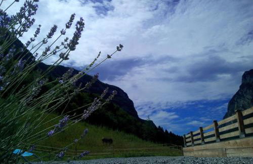 AGRITURISMO MASO PERTENER -adults friendly- - Foto 57