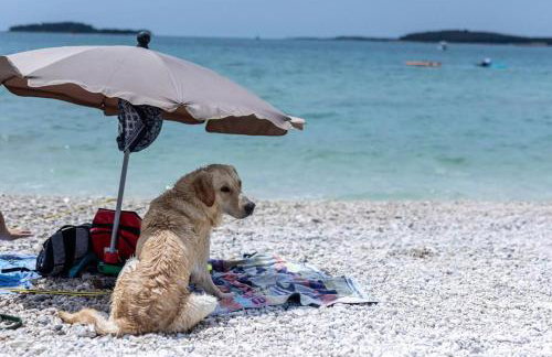 Seaside Villa Bamboo - Fažana - Foto 66