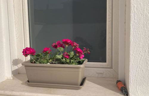 Casa mosaico IUN R9770 - Foto 25