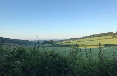 The Hazels - Foto 11