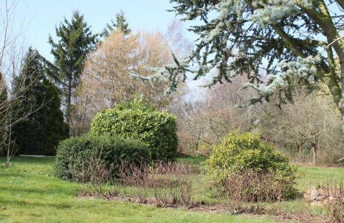 Ferienwohnung "Eifelstueffje" - Foto 53