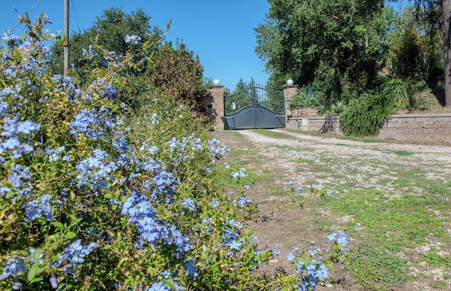 Villa Penta - Photo 45