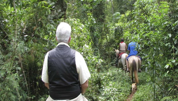 San Lorenzo Natural Reserve Horseback Riding - Photo 4, Horseback riding through San Lorenzo