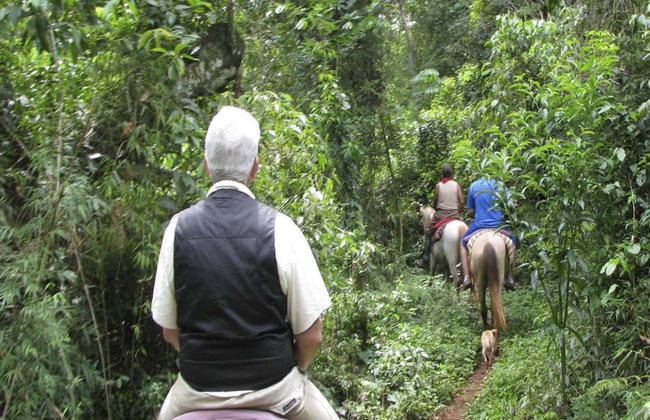 San Lorenzo Natural Reserve Horseback Riding - Foto 4