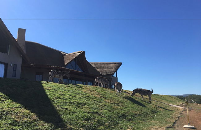 JBay Zebra Lodge - Photo 49