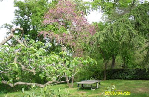 LA CHAPELLE DU PRIEURE - Foto 15