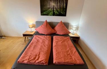 Haus am Sonnenberg, Todtnauberg, Ferienwohnung 204, direkt am Skilift-Skipiste, Nähe Feldberg - Foto 4