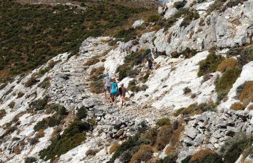 Traditional stone-built cottages Azalas - Foto 48