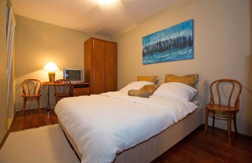 Apartment Gorica - Foto 52