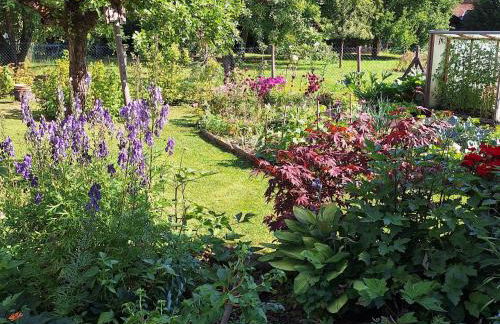 Ferienwohnung am Schloss Michelstadt - Photo 6