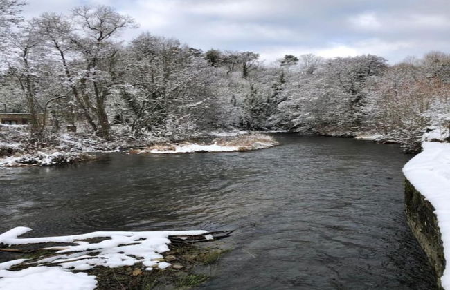 La Roche Cozy Forest Escape - Photo 29