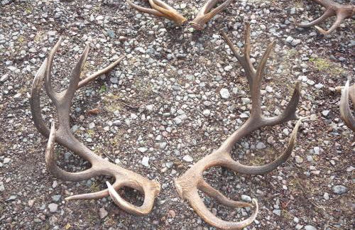 Ferienhaus Piratenburg Rövershagen - Photo 33