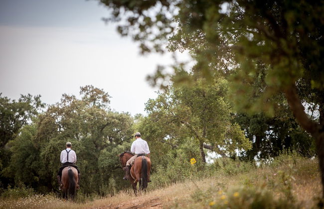 Monte da Esperança - Photo 29