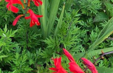 The Huron Hutch - Foto 20