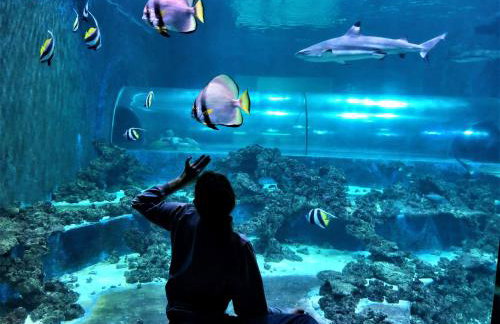 Apartament VIP Sztutolo z basenem - Foto 49