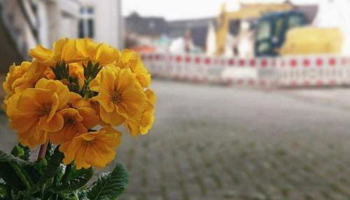 Ferien im Heckenland - Foto 2