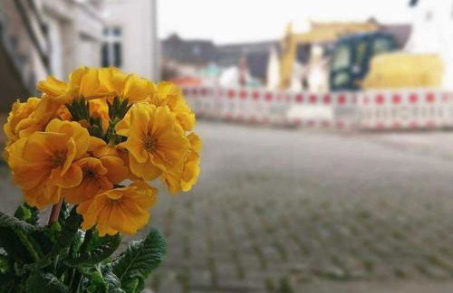 Ferien im Heckenland - Foto 2