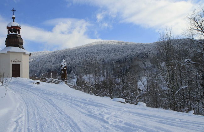 Attractive Apartment in Rokytnice nad Jizerou Near Ski Area - Foto 66