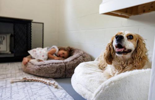 The Cooper Home, Dogs Welcome! - Foto 44