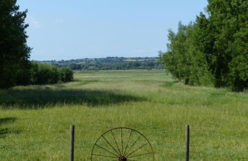 Littlemead - Newly renovated private studio near Glastonbury - Foto 17