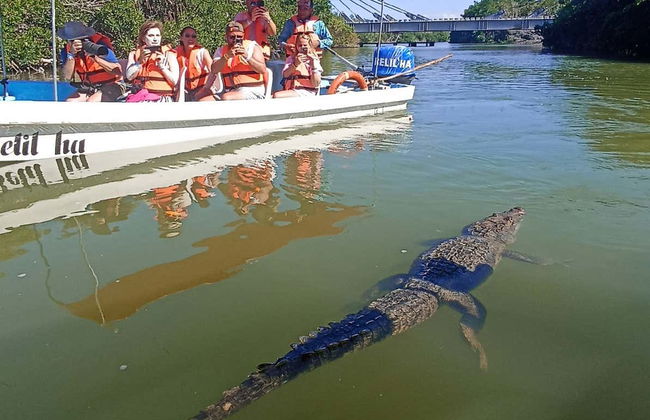 Excursión a Las Coloradas y río Lagartos - Foto 9