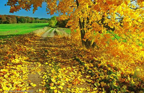 Seeresidenz Klink - Foto 28