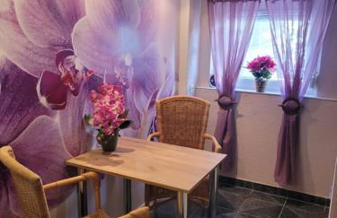 Ferienwohnung Jasmin in Schönau bei Heidelberg FEWO 4 Souterrain - Foto 1