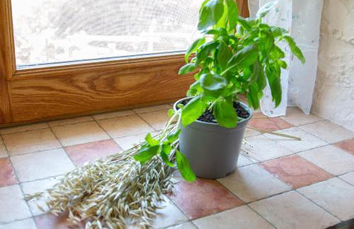 123 la casa nel bosco - Foto 39