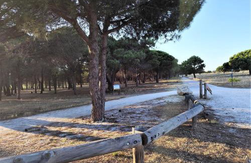 Grande villa, à deux pas de la plage, pinède et du grand Village de Noël - Foto 27