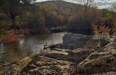 Blue&YellowHouse - Foto 31