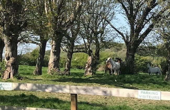 Les Cabanes de Warincthun - Foto 46