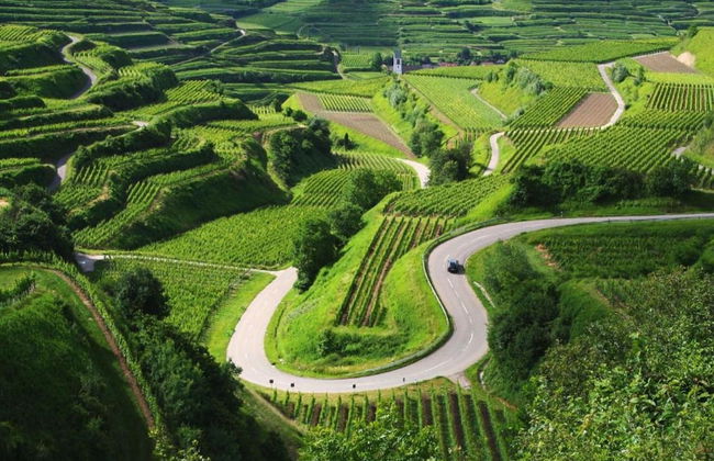 Holiday Apartment Monet in Oberrotweil - Foto 36