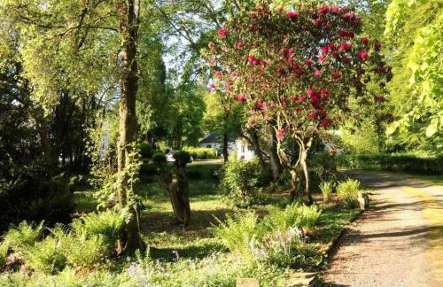 RnB - Rural n Beautiful - The Spacious Coach House - Photo 37