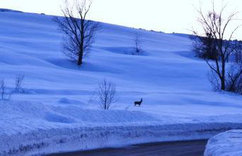 Agriturismo Tholos - Photo 50