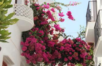 Bella vida en Almunecar - Photo 42