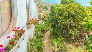 Canarian Cottage with terrace surrounded by garden - Alisios - Foto 3