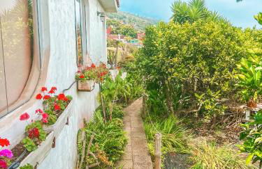 Canarian Cottage with terrace surrounded by garden - Alisios - Foto 3