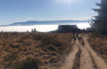 Bukowina Tatrzańska -Czarna Góra- Black Apart- widok na Tatry, jacuzzi, bilard, game room - Foto 60