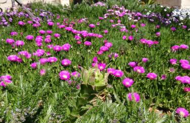 Kuća za odmor Maruška - Foto 14