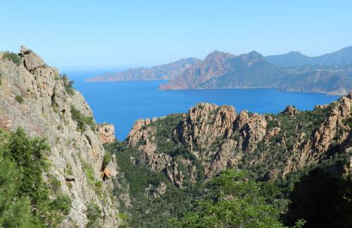 Les Asphodèles - Foto 21