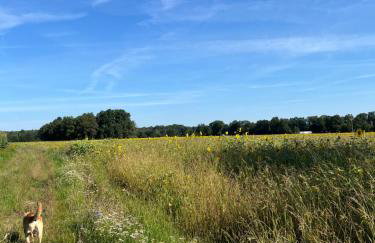 Agroturystyka Borów - pokoje - Foto 23