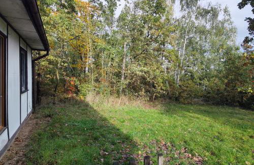 Kleine Freiheit Nummer 3 - Foto 19