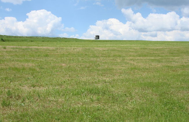Cosy Apartment in Hallenberg Near Centre - Foto 68