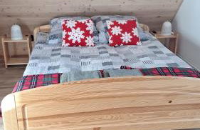 Agroturystyka Cieślarówka - Foto 42